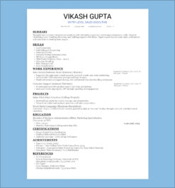 Entry-Level Sales Executive Resume Template highlighting skills in lead generation, cold calling, customer service, CRM tools, and sales presentations, along with experience in sales internships, customer support, and successful project participation, including sales pitch deck creation and mock sales campaigns.