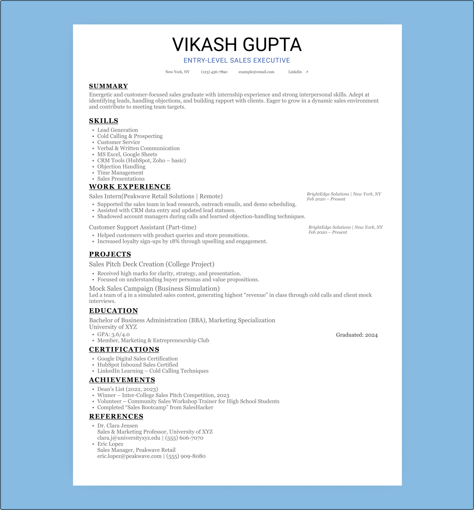 Entry-Level Sales Executive Resume Template highlighting skills in lead generation, cold calling, customer service, CRM tools, and sales presentations, along with experience in sales internships, customer support, and successful project participation, including sales pitch deck creation and mock sales campaigns.