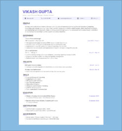 Clean senior financial manager resume template featuring 10+ years of experience in budgeting, forecasting, and team leadership.