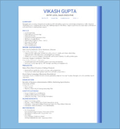 Entry-level resume template for sales executive showcasing skills in lead generation, customer service, and CRM tools.