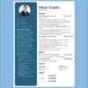 Executive resume template for Senior IT Manager highlighting experience, skills, and education for job applications.