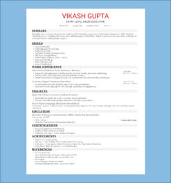Entry-Level Resume Template for sales executives highlighting skills, education, certifications, and work experience.