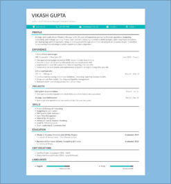 Senior-level resume format showcasing financial manager profile, work history, projects, skills, certifications, and education.